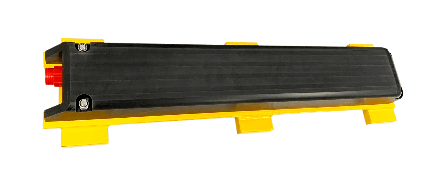 CSignum EM-2S device