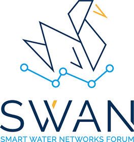 SWAN Forum